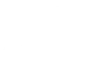 Logo Artisan Park