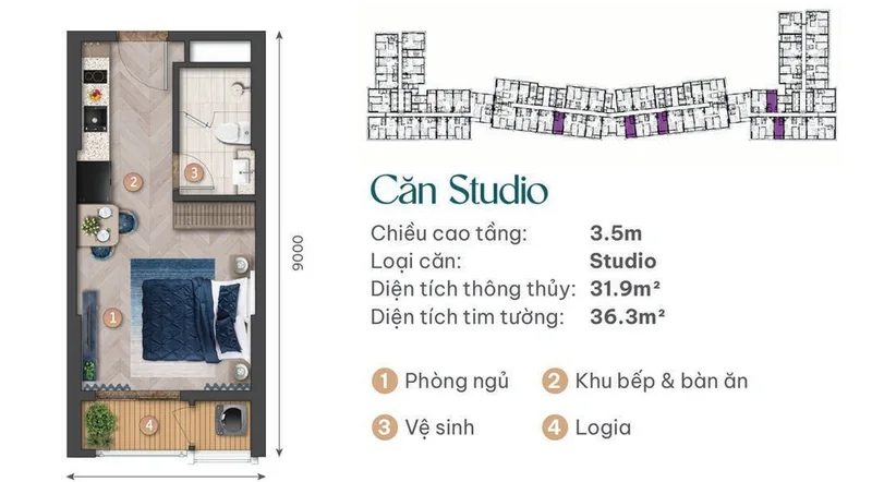 Layout căn Studio Beachtro Tower: diện tích thông thủy 31,9 m², tim tường 36,3 m², trần cao 3,5 m