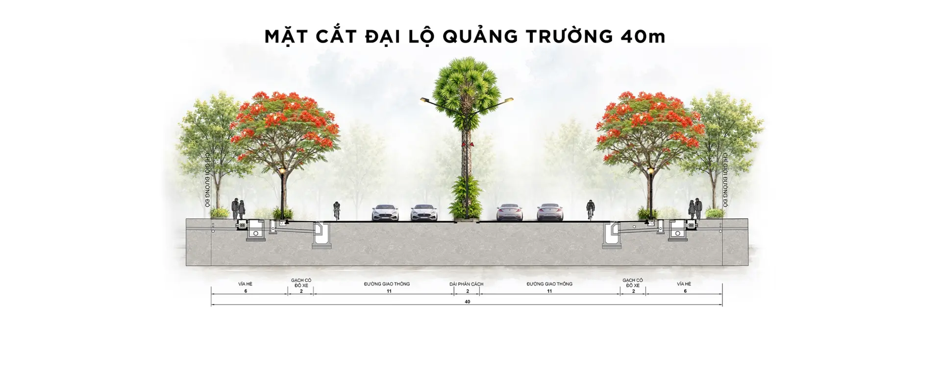 Mặt cắt ngang Đại lộ Quảng trường 40m với làn xe, cây xanh và vỉa hè