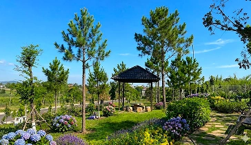 Cảnh quan 1