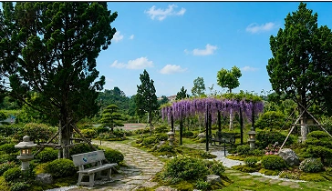 Cảnh quan 4