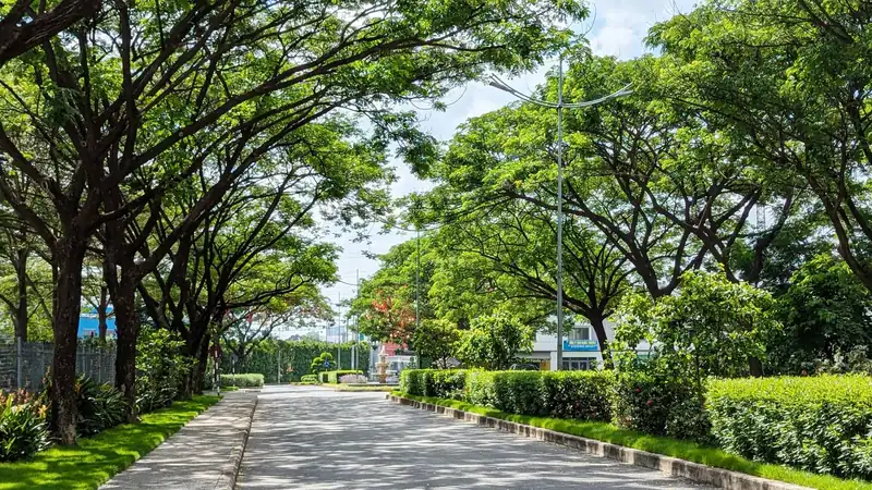 Đường nội khu EcoXuân rợp bóng cây hai bên (ảnh thực tế)
