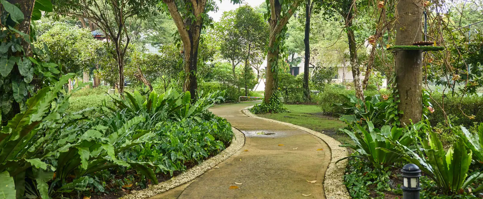 Lối dạo dưới tán cây trưởng thành trong khu đô thị EcoXuân, nơi Setia Edenia tọa lạc (ảnh thực tế)
