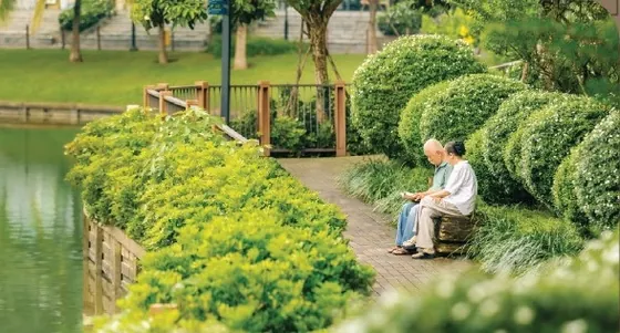 Người cao tuổi nghỉ chân bên hồ giữa mảng xanh Mizuki Park