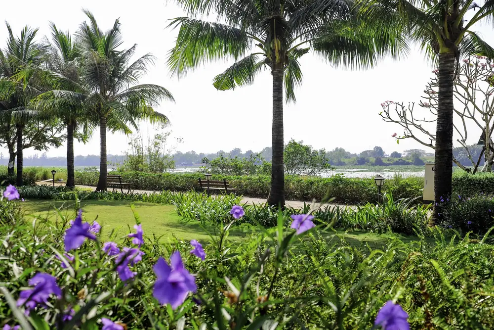 Công viên và cảnh quan hoa ven sông